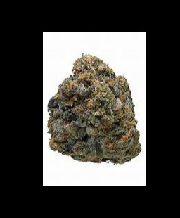 Photograph of Product: Sherb Cream 1/2 - 14g