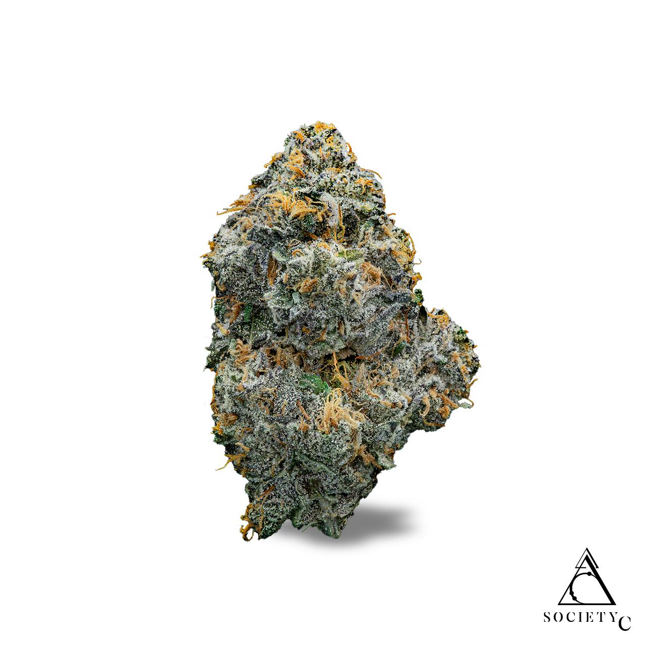 Photograph of product: SOCIETY C | GASTRO POP | BULK | Oui'd/HYBRID - 1g