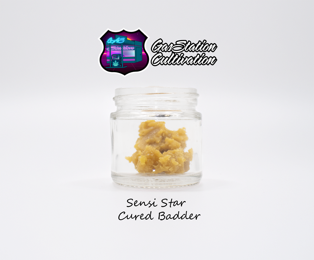 Photograph of product: Sensi Star | 7g Cured Badder (Tier 3)