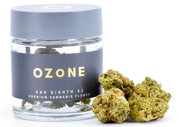 Photograph of product: Banana Daddy - 3.5 Flower - 3.5g