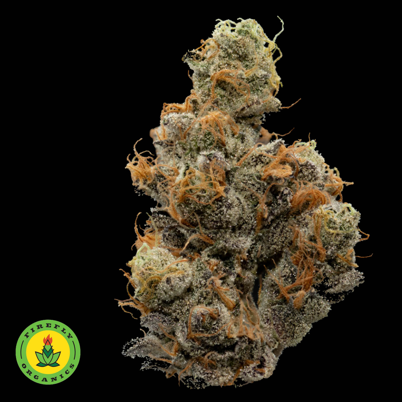 Photograph of product: 09 Animal Cookies cultivated by Firefly Organics - 28g