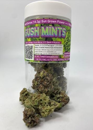 Photograph of product: Gush Mints | 14g Flower