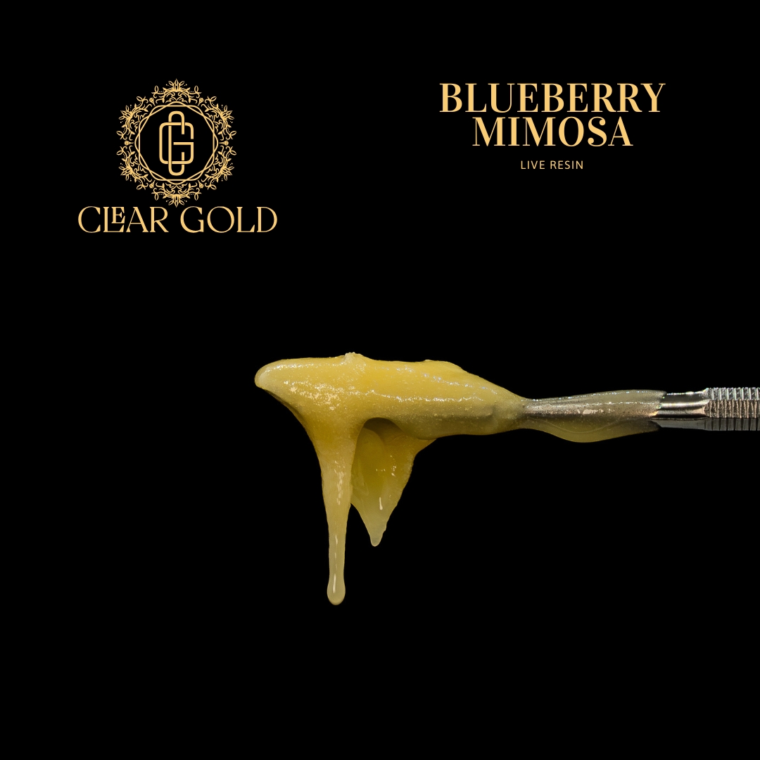 Photograph of product: Blueberry Mimosa | Live Resin | 1g