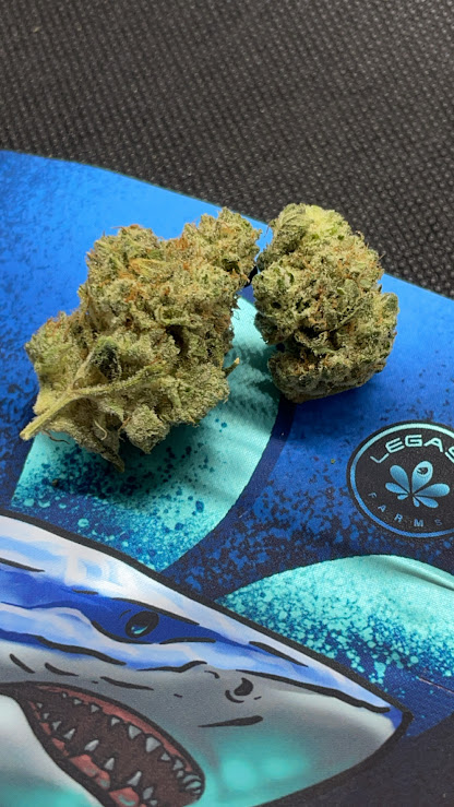 Photograph of product: LegaSea | Zookies | Bulk Flower - 28g
