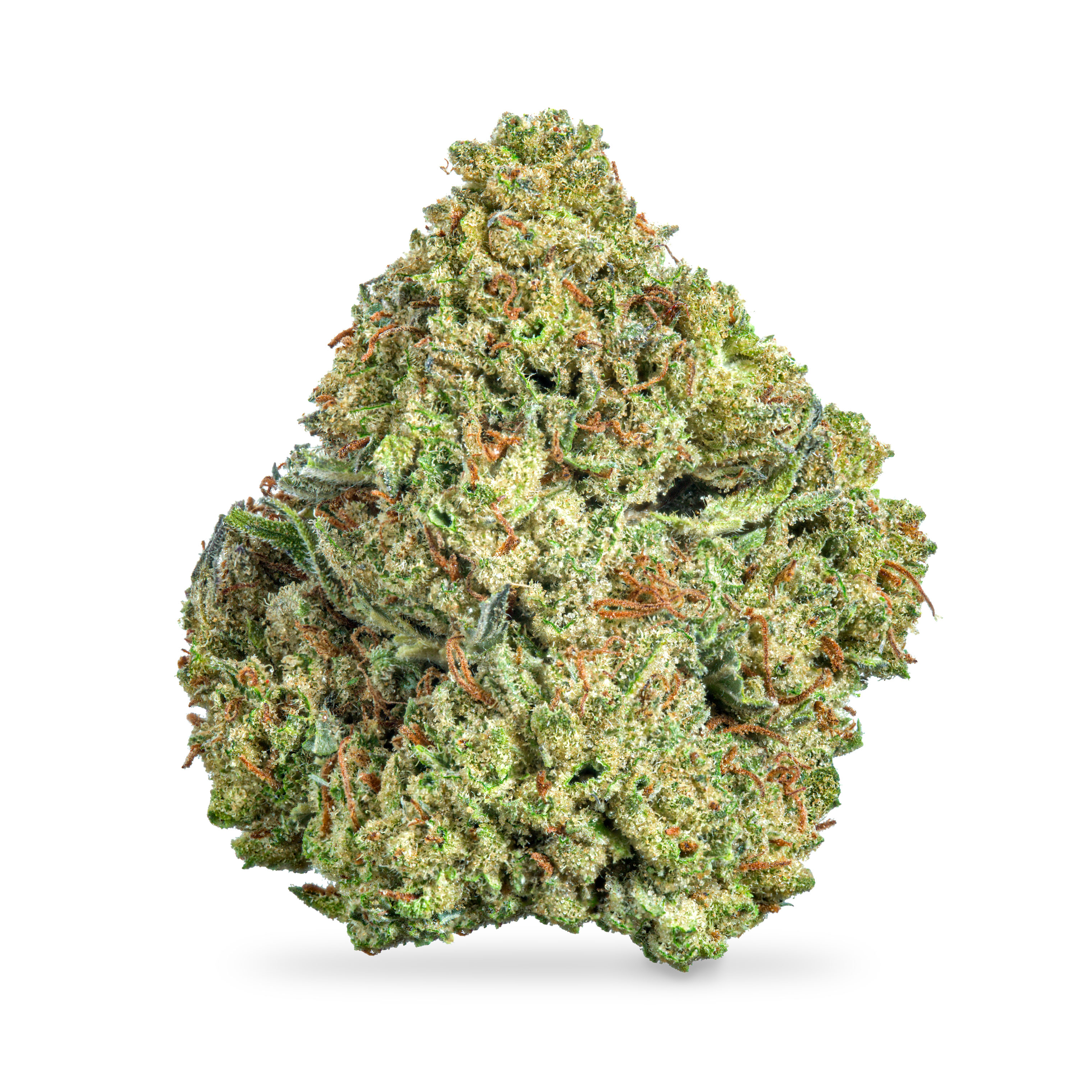 Photograph of product: Horchata B Buds ($60 Special, No Stacking) - 28g
