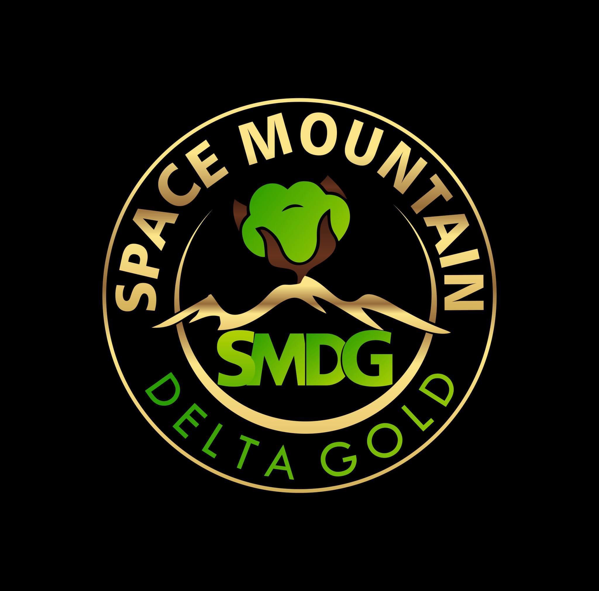 Photograph of product: Space Mountain | 3.5g | $100 OG