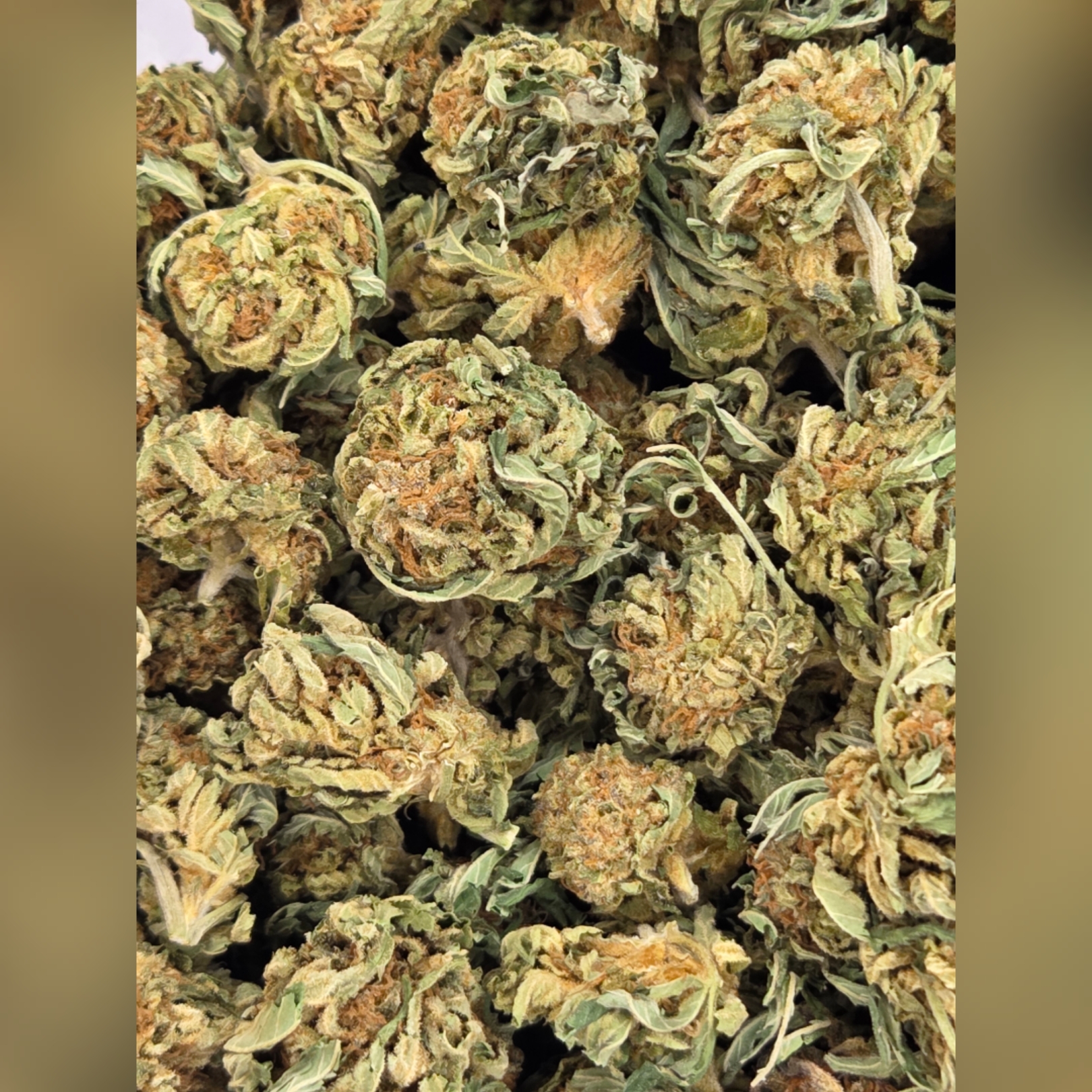 Photograph of product: Watermelon Jealousy (Grass Roots) - 28g