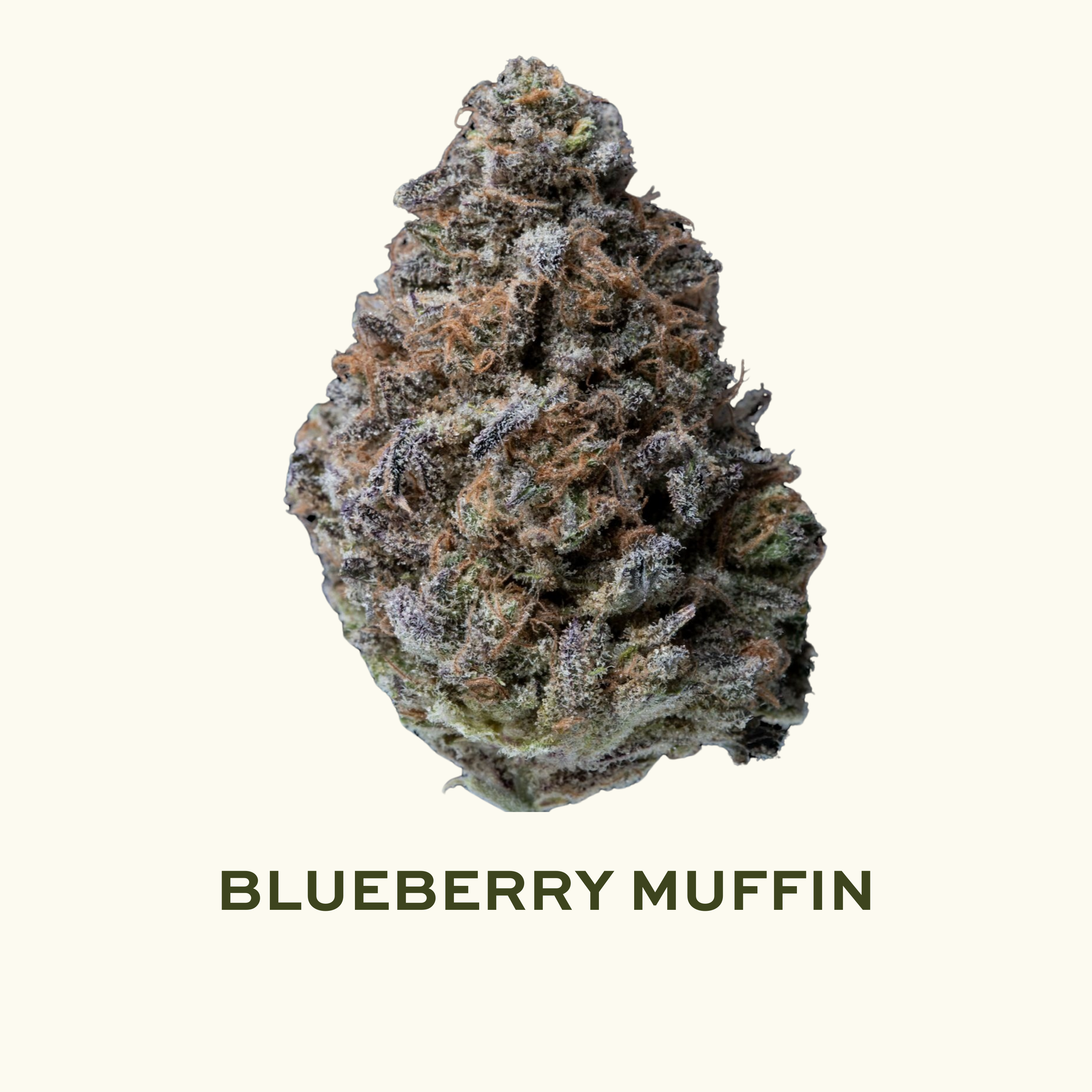 Photograph of product: Blueberry Muffin #4 - (3.5) - 3.5g