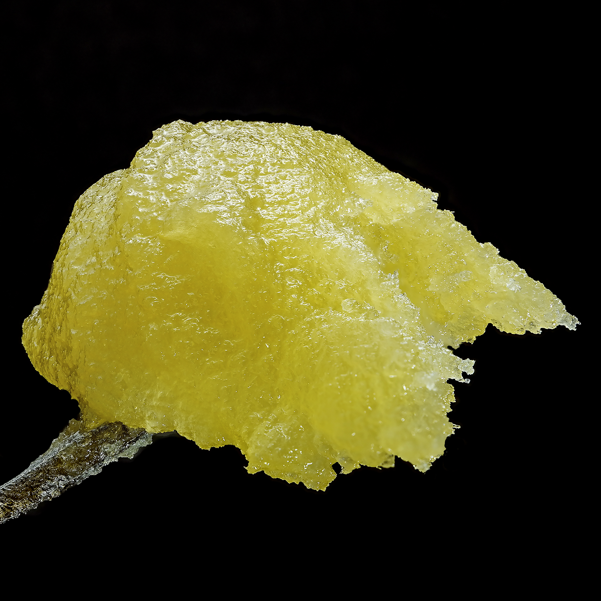 Photograph of product: Caribbean Breeze Live Rosin