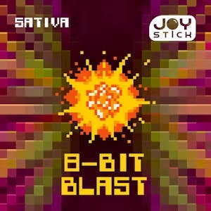 Photograph of product: Joystick - 1g CART - 8-Bit Blast