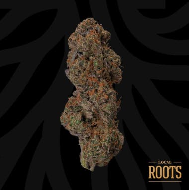 Photograph of product: Local Roots | Cookie au chocolatplant Deli Style Flower