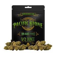Photograph of product: Pacific Stone 805 Glue 14g Prepack