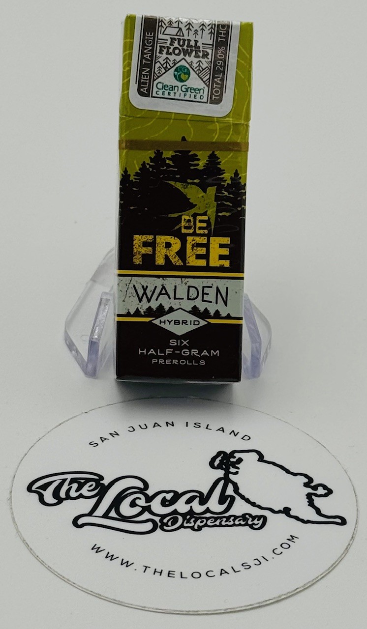 Photograph of product: Alien Tangie Pre-Rolls 6pk