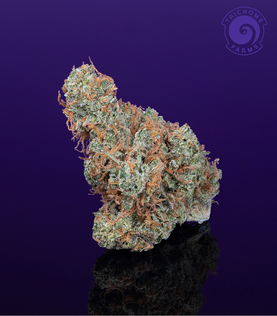 Photograph of product: Trichome Farms Pineapple Tang - 28g