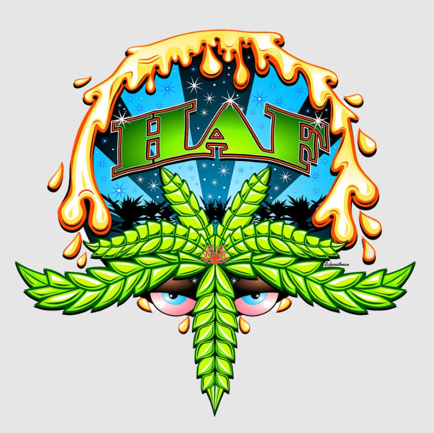 Photograph of product: HAF | Banana Punch | 1g Rosin