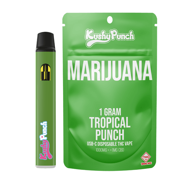 Photograph of product: Tropical Punch | 1g Disposable - 