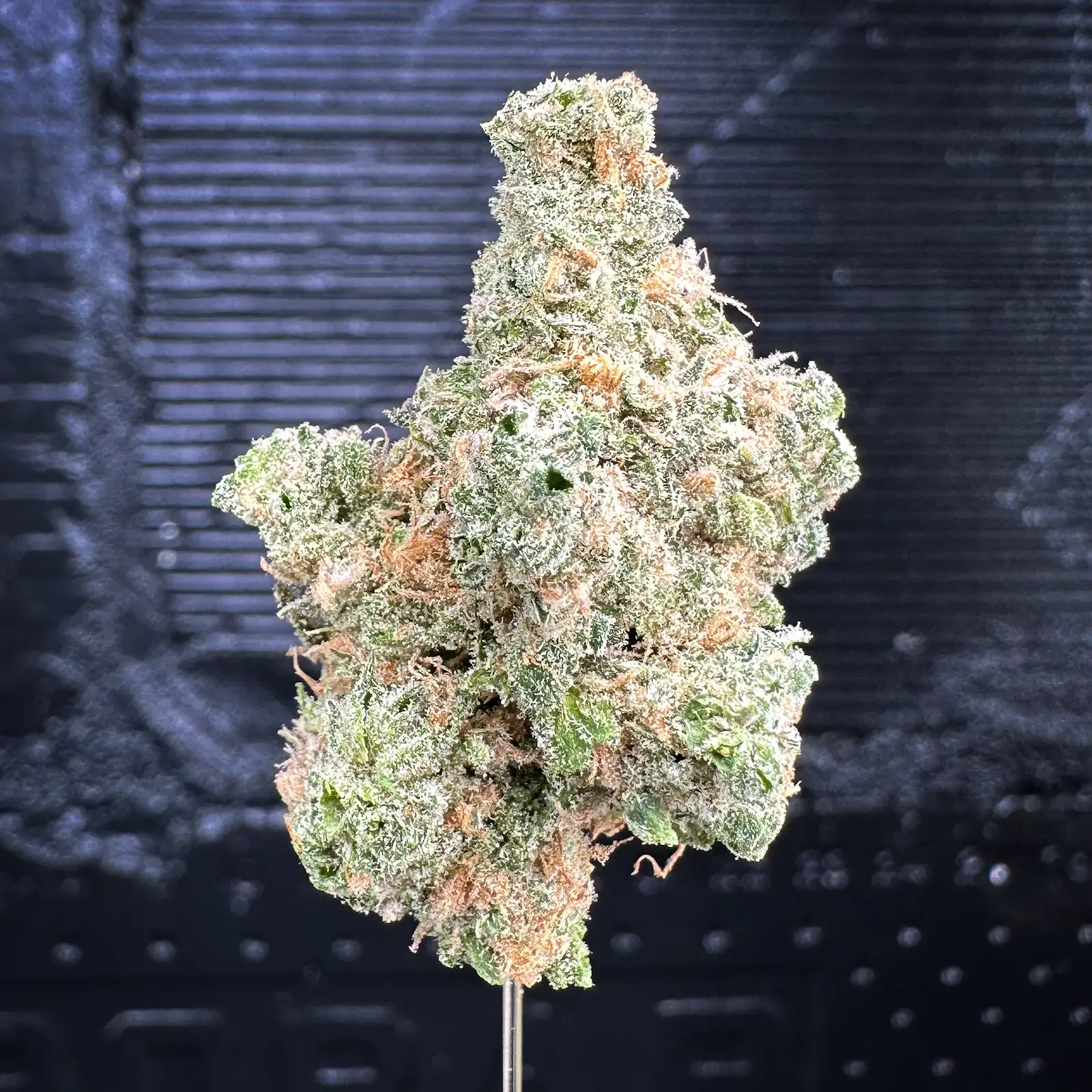 Photograph of product: Blue Dream - 14g