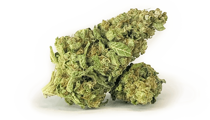 Photograph of product: ZC | Fatso GH  Smalls | Flower - 7g