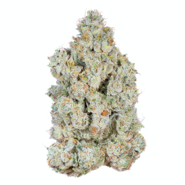 Photograph of product: Dark Web | 3.5g Flower