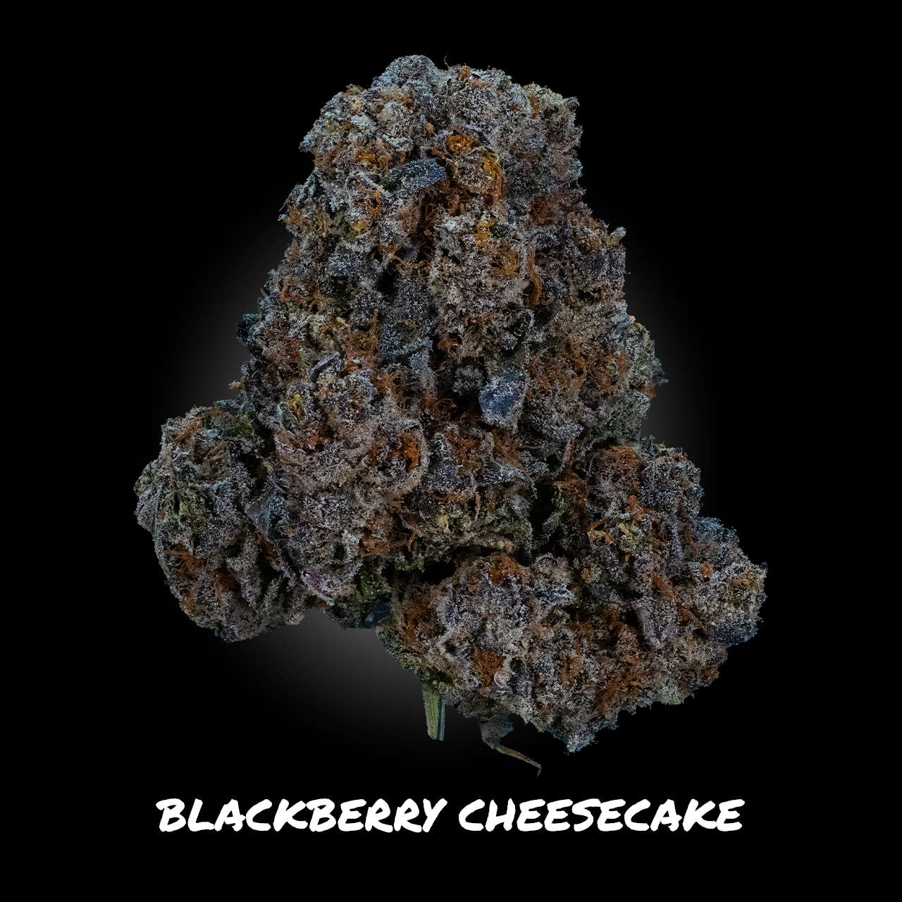 Photograph of product: Blackberry Cheese Cake - Demboyz Prepackaged Flower - 3.5g