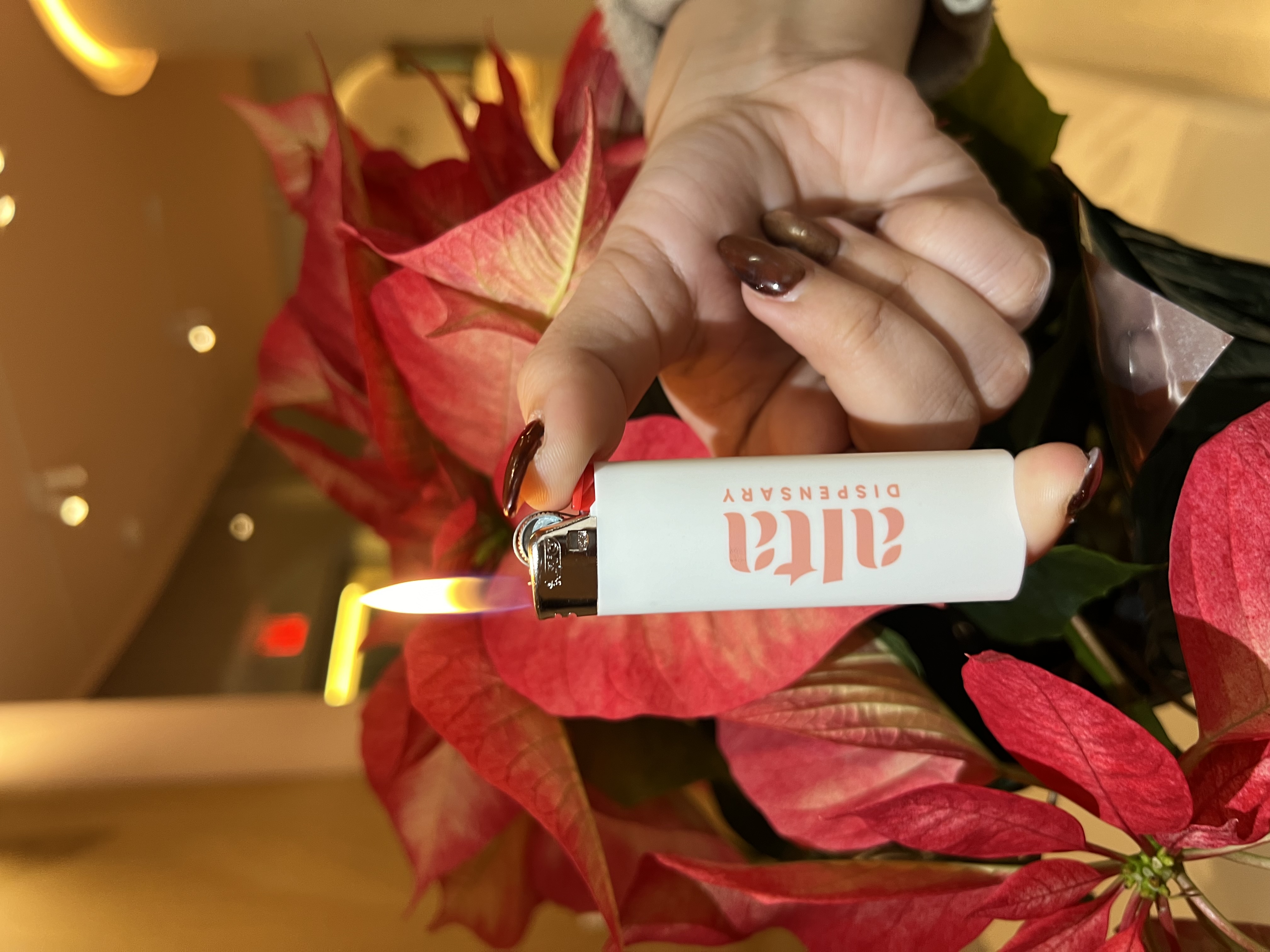 Photograph of product: Alta | Bic Lighter | White