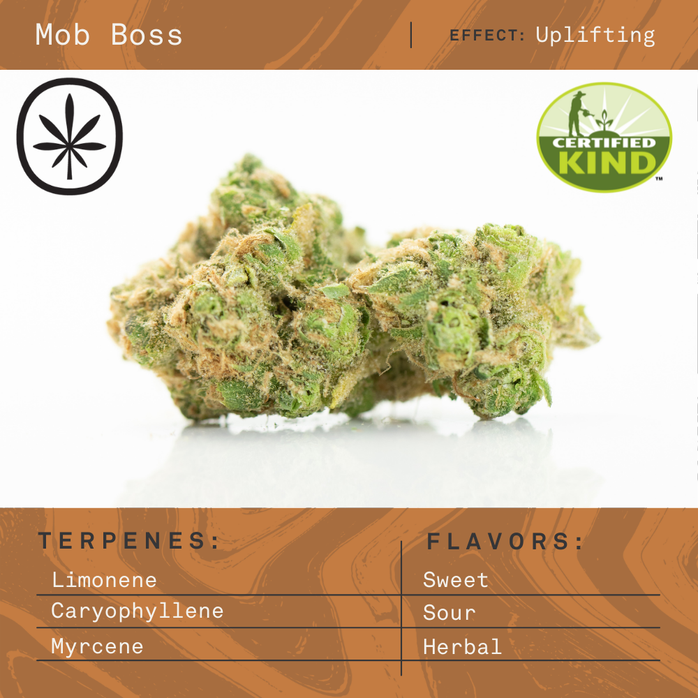 Photograph of product: Apothecare | Mob Boss | Bulk Flower - 28g