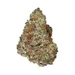 Photograph of product: Pheno Exotic | Midnight In Paris (S-D) - 14g