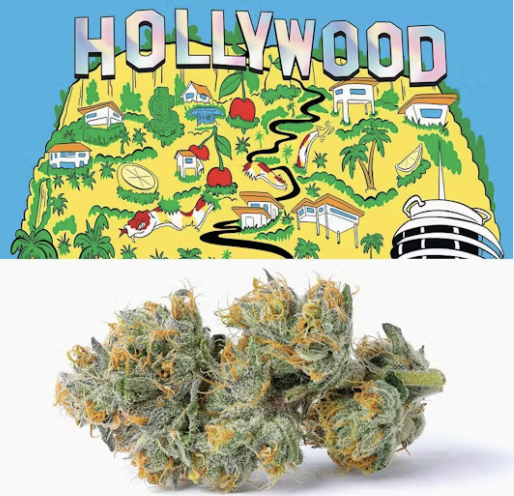 Photograph of product: Cookies | Hollywood | 3.5g