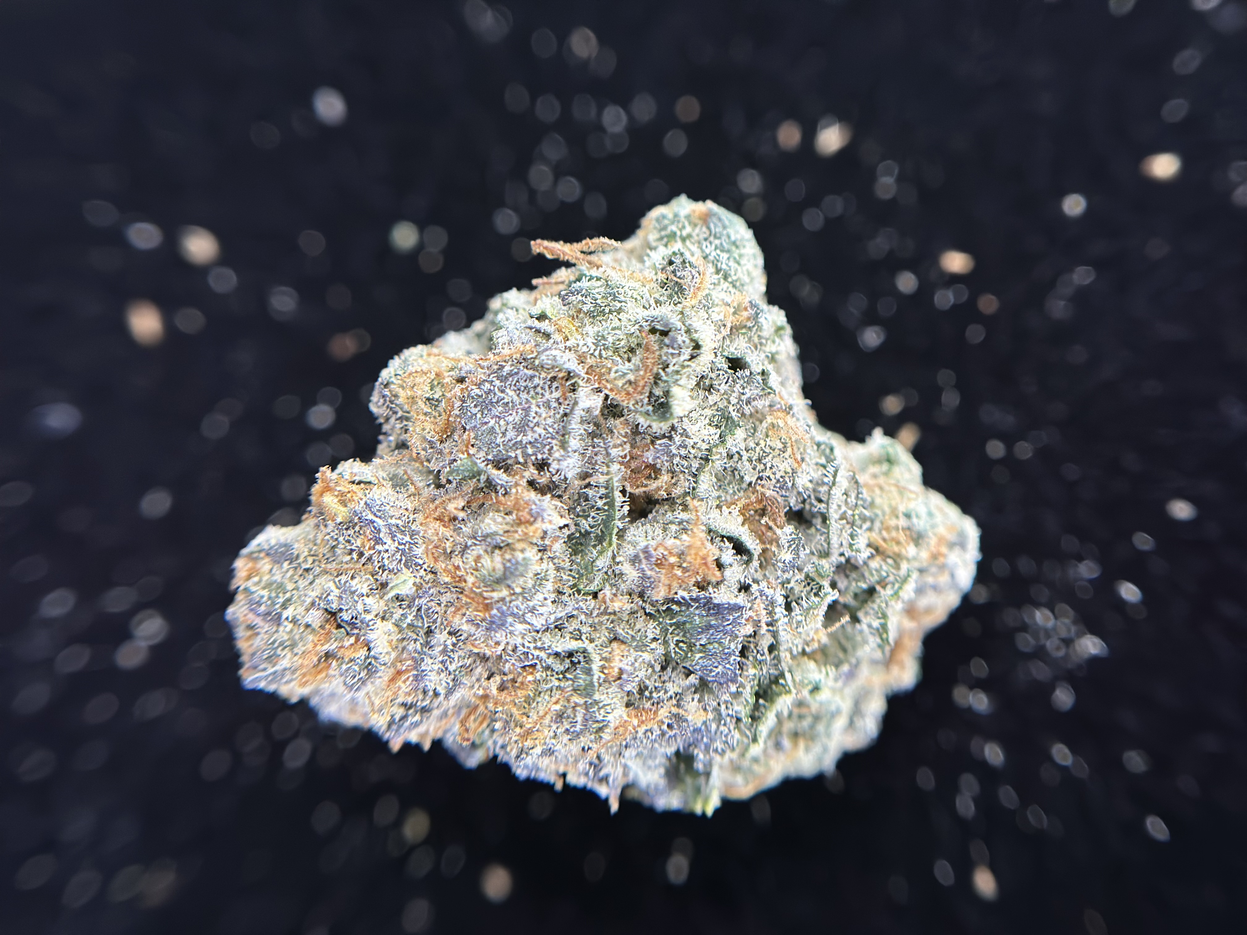Photograph of product: Black Cherry Gelato - 3.5g