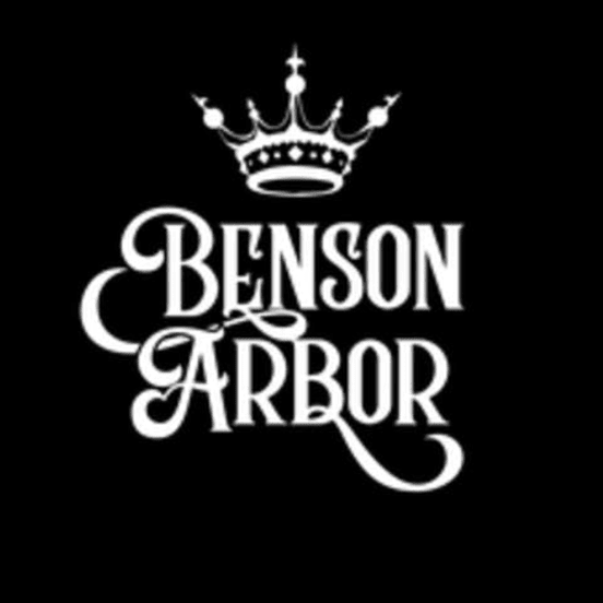Photograph of product: Benson Arbor Pack: Rainbow Belts - 