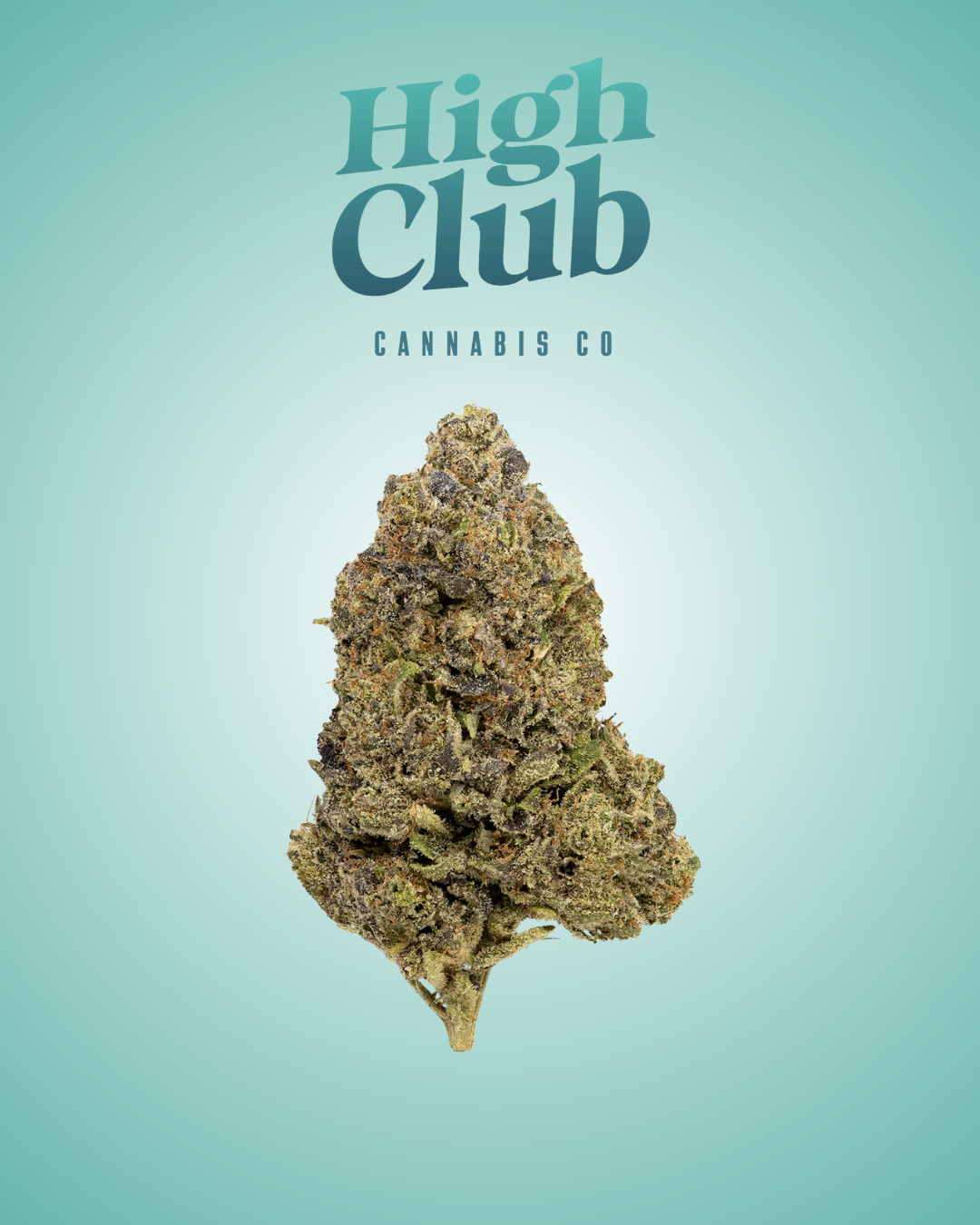 Photograph of product: Deli | Jelly Breath | Yellow Tier - 28g