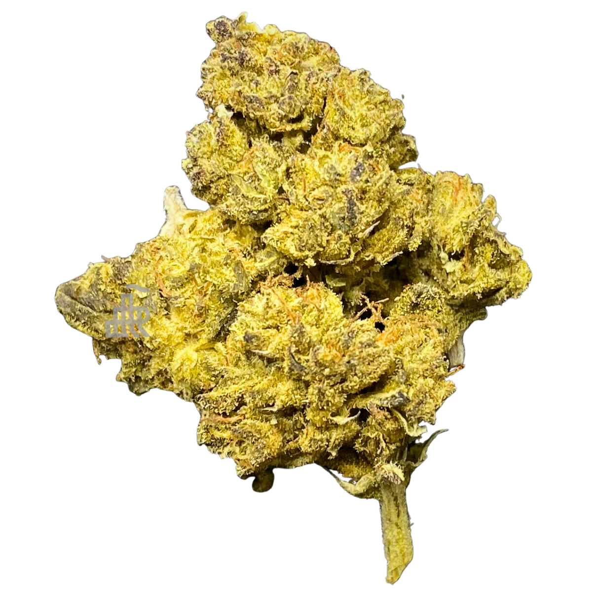 Photograph of product: Dumb B | Deli Style | Tier One - 28g