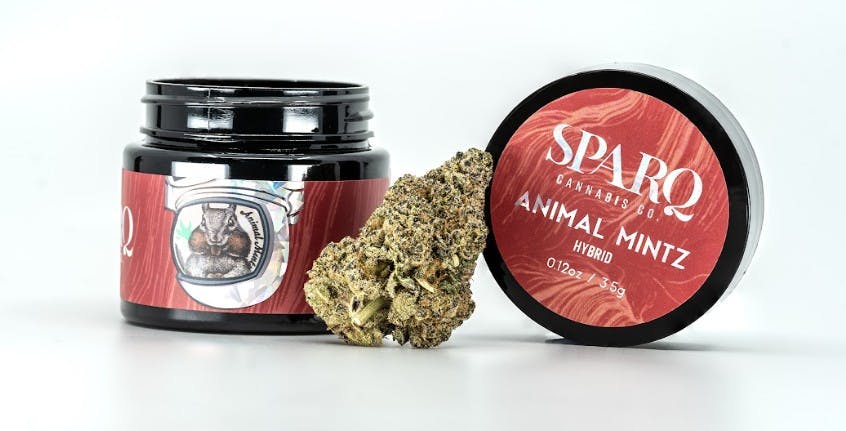 Photograph of product: Animal Mintz 3.5g - SPARQ