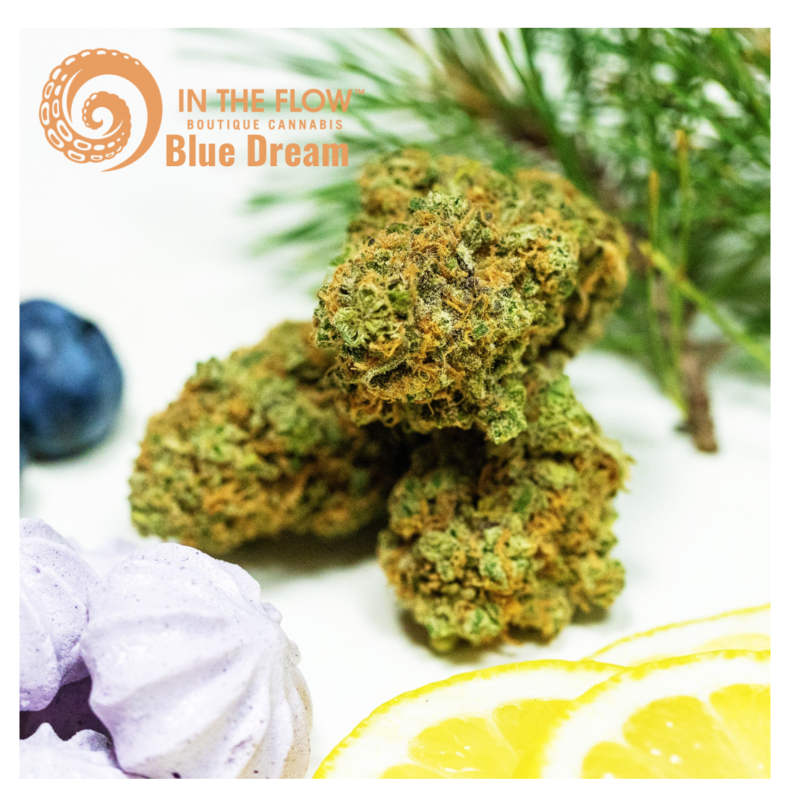 Photograph of product: Blue Dream - 673 - 28g
