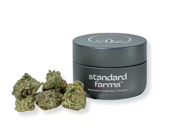 Photograph of product: NF1 | 3.5g | Flower