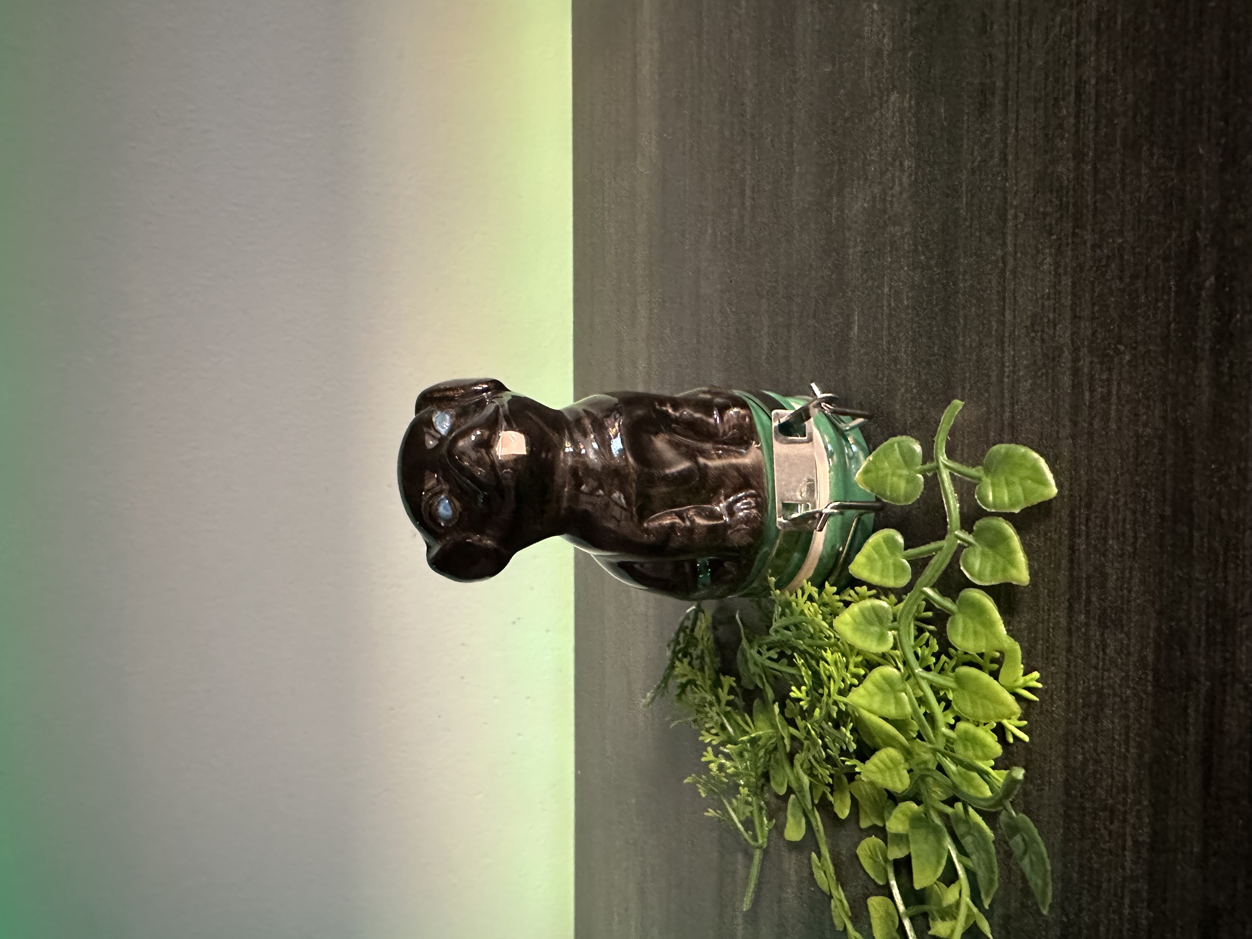 Photograph of product: Glass | Ceramic Stash Jar - Dog 50ml | MERCH
