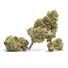 Photograph of Product: Forever HG | Wi Fi | 1G Full Flower Pre-Roll