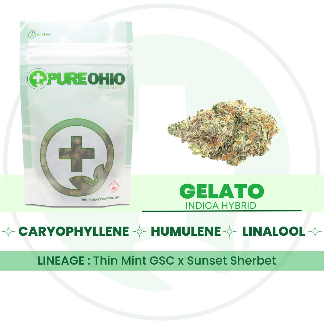 Photograph of product: Gelato | 14.15g