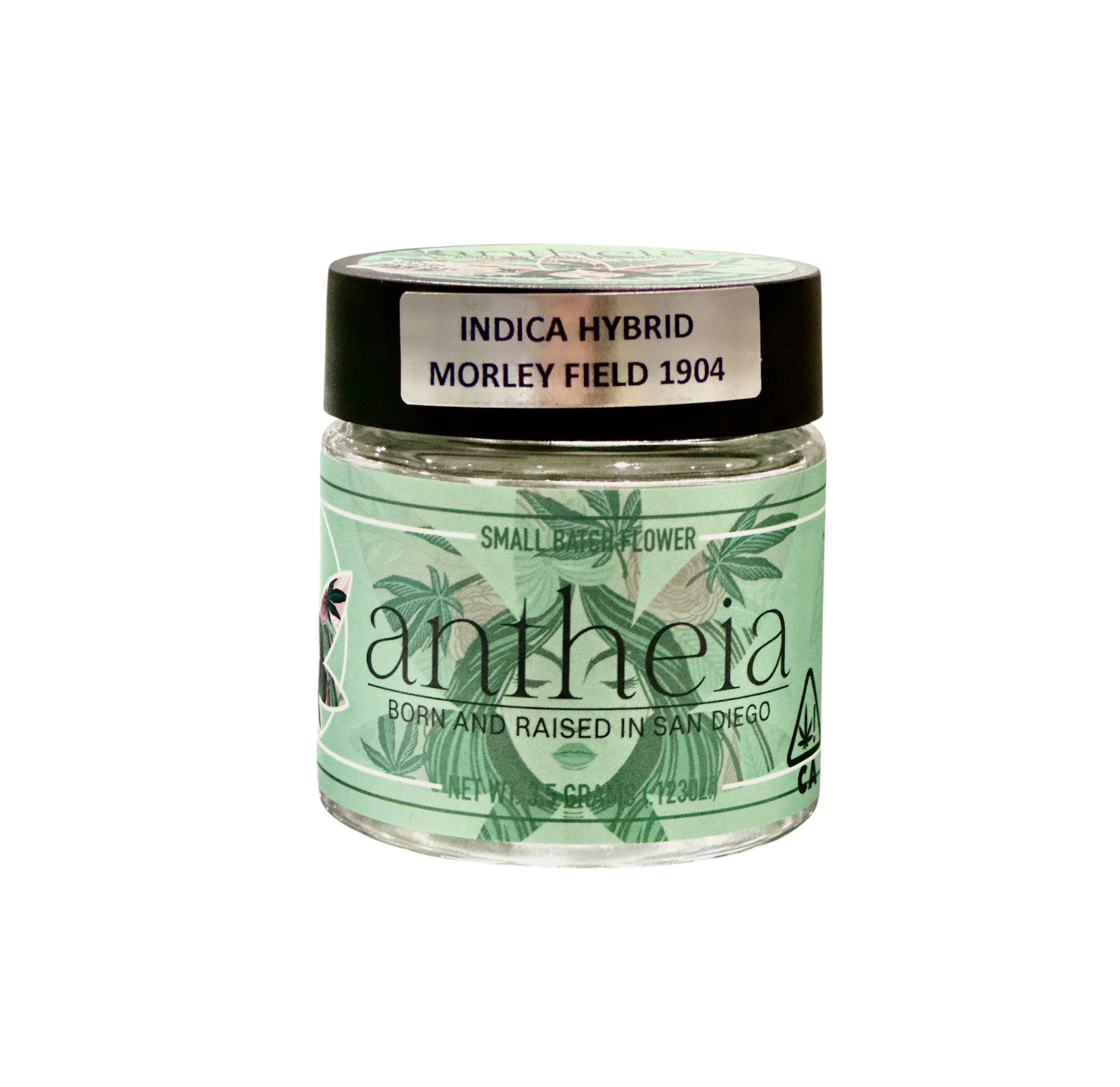 Photograph of product: MORLEY FIELD - 3.5G