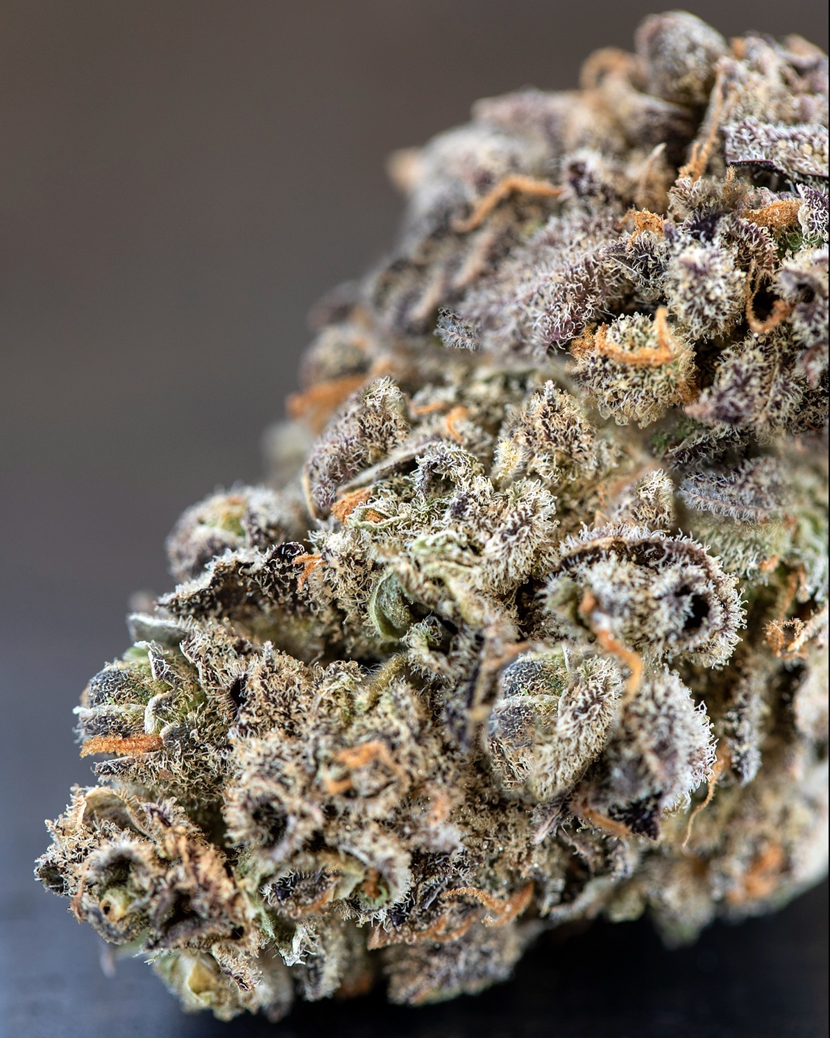 Photograph of product: Blue Dream Sour Jack - 7g