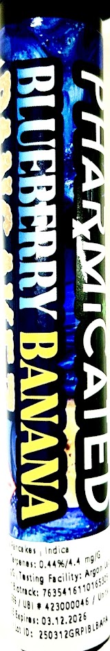 Photograph of product: Blueberry Banana Pancakes - Infused