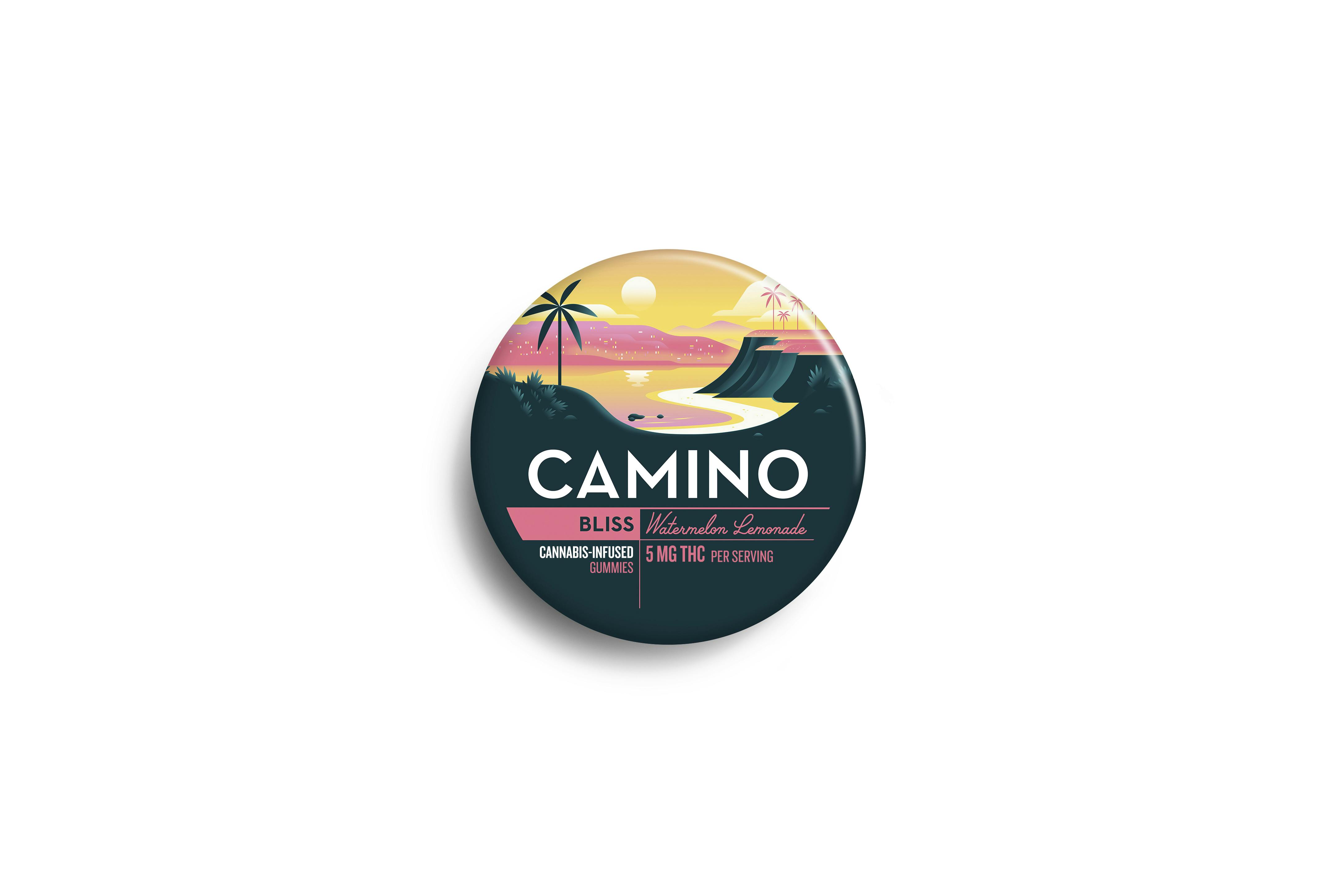 Photograph of product: Camino - Watermelon Lemonade (H) - 20ct - 0194
