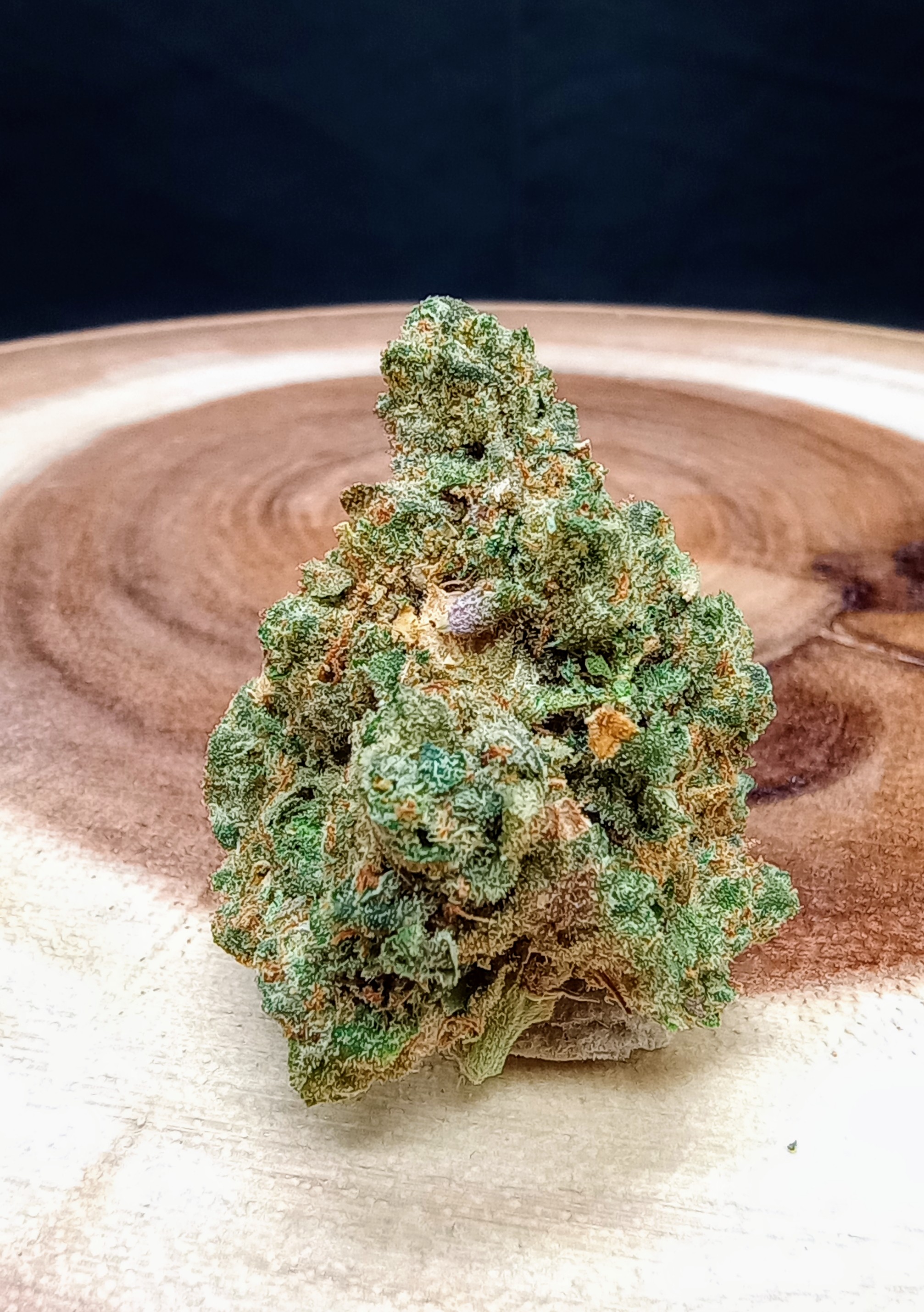 Photograph of Product: Watermelon Rush - 14g