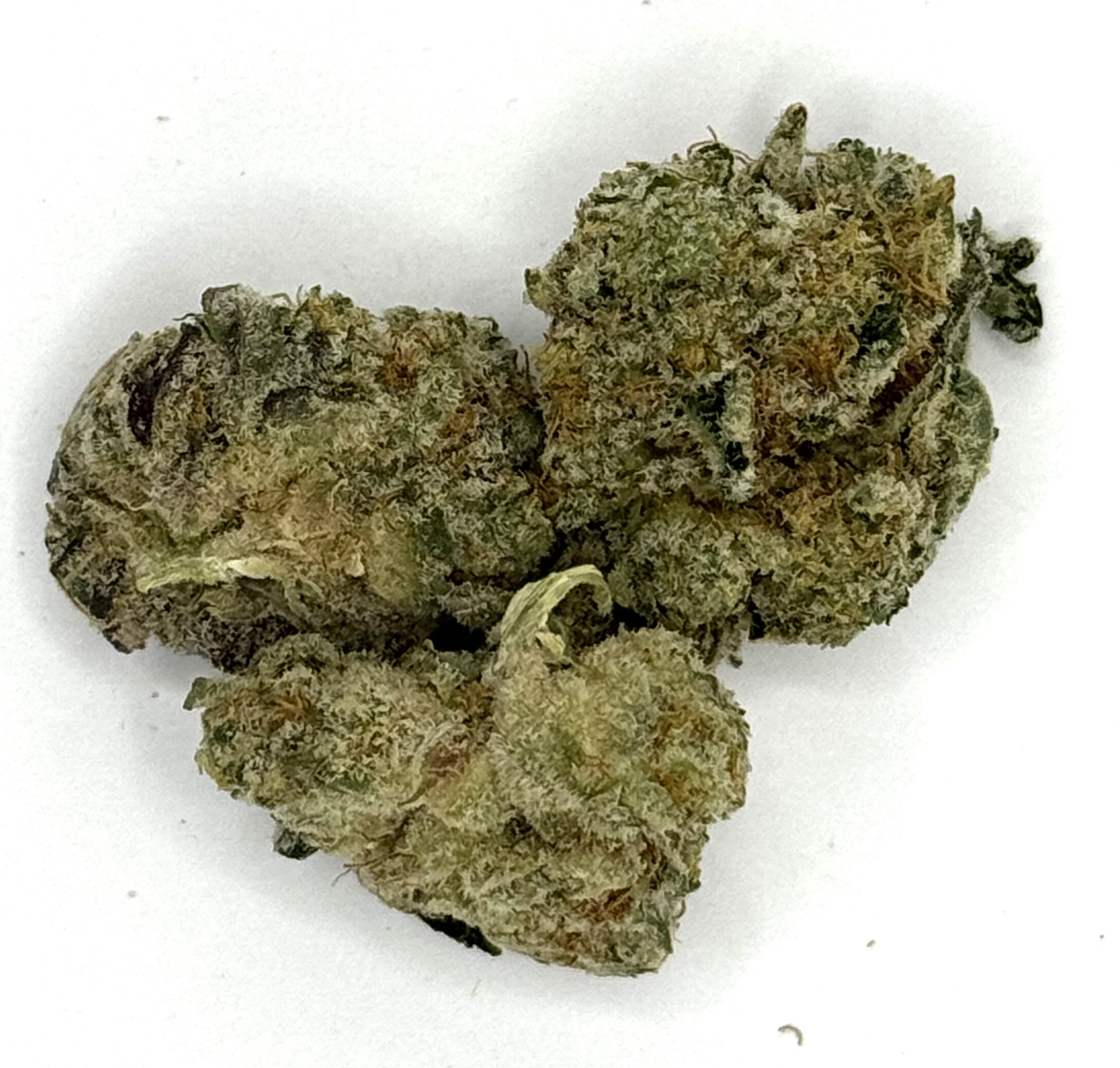 Photograph of product: Animal Tree - 3.5g