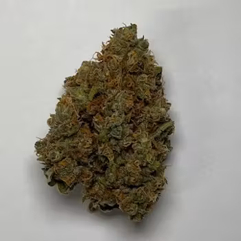 Photograph of product: Maple Nectar - 3.54g