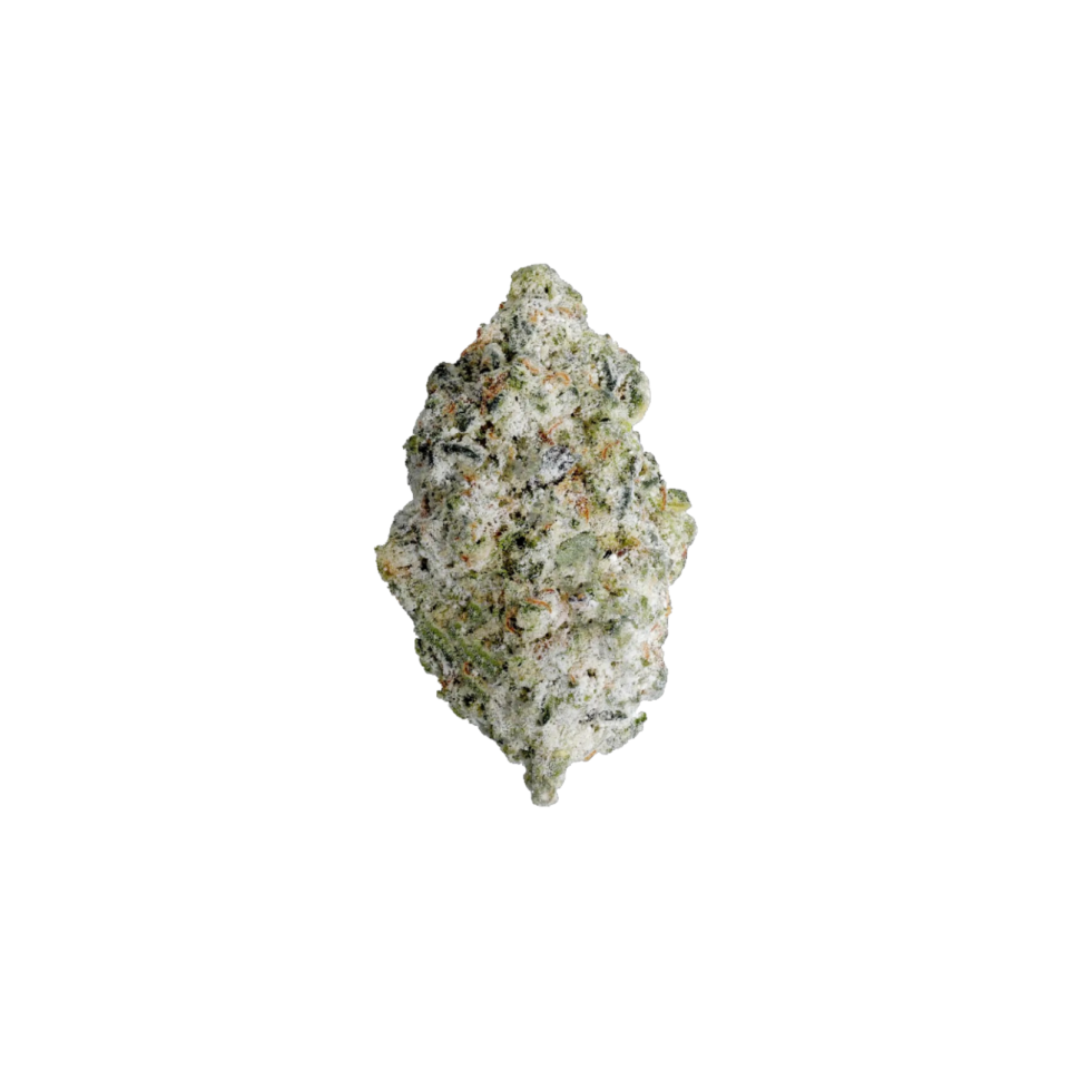 Photograph of product: United Terps of America | Permanent Gas | Oui'd | Infused Deli-Style Flower | REC - 1g