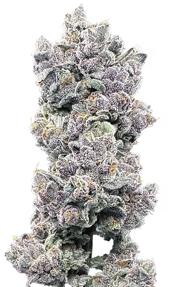 Photograph of product: Flower | Garlic Sherbert x Twisted Ice Cream - 28g