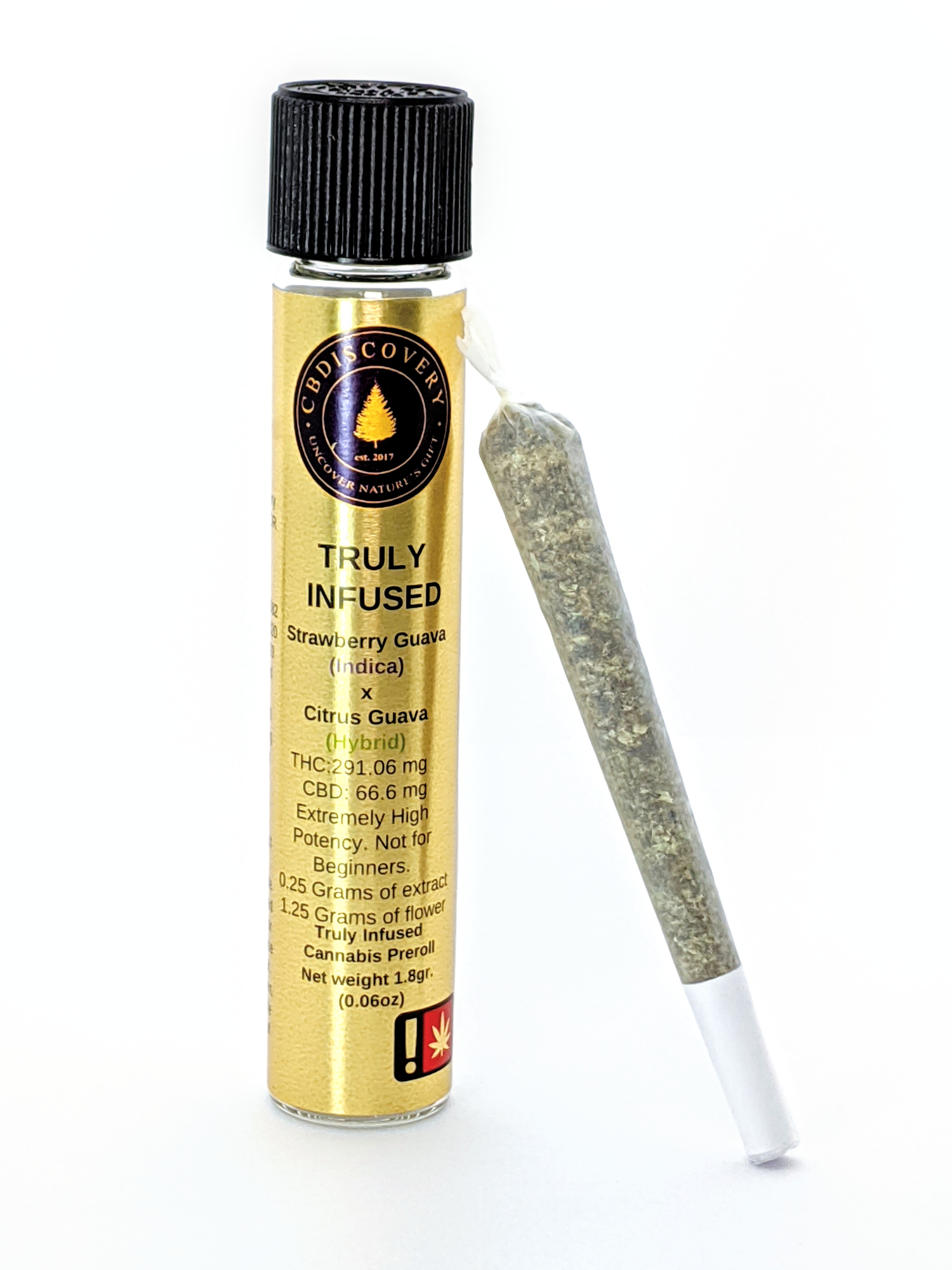 Photograph of product: Entourage Infused Preroll - Sherbanger x Ice Cream Paint Job