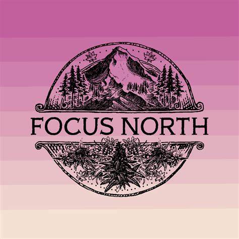 Photograph of product: Focus North | NOW N LATER - 28g