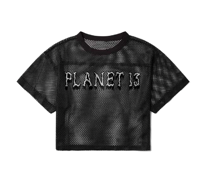 Photograph of product: Planet 13 Black Mesh Crop Top - L